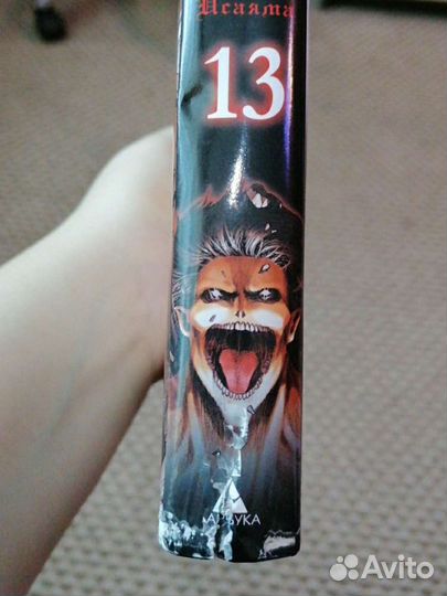 Книга-Манга