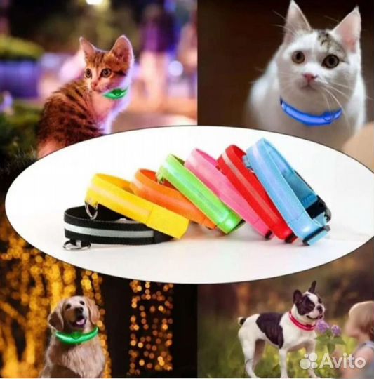 Светящийся ошейник для собак и кошек