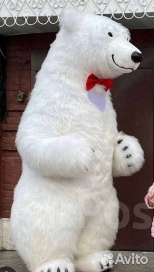 Белый мишка поздравление, аниматоры