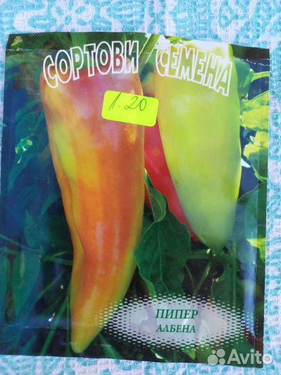 Рассада помидоров, баклажанов и сладкого перца