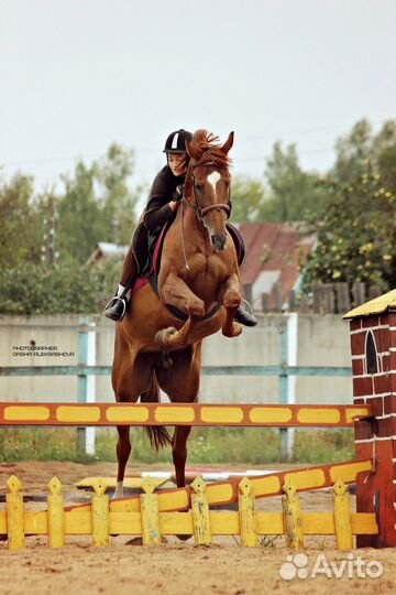 Фотосессии с лошадьми (занятия, прокат)