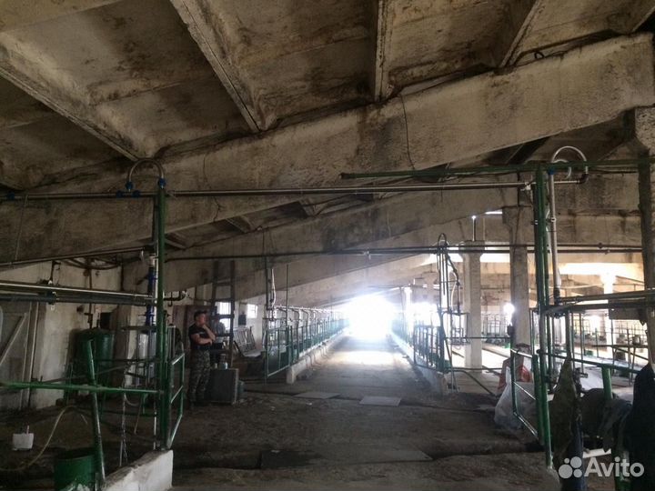 Молокопровод