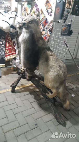 Чучело волка