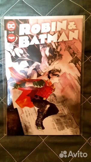 Robin and batman dc comics lemire nguyen