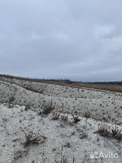 Белемниты чертовы пальцы