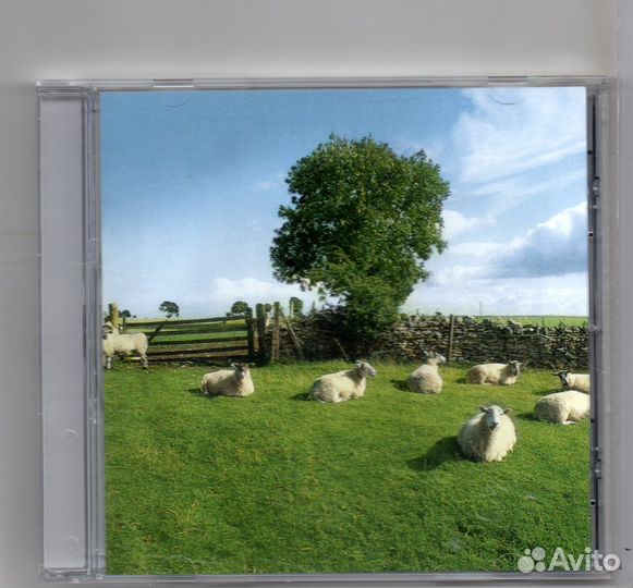 The KLF Kopyright Liberation Front The ORB CD