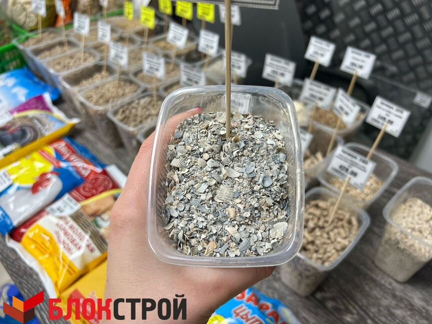 Ракушка морская, 10 кг