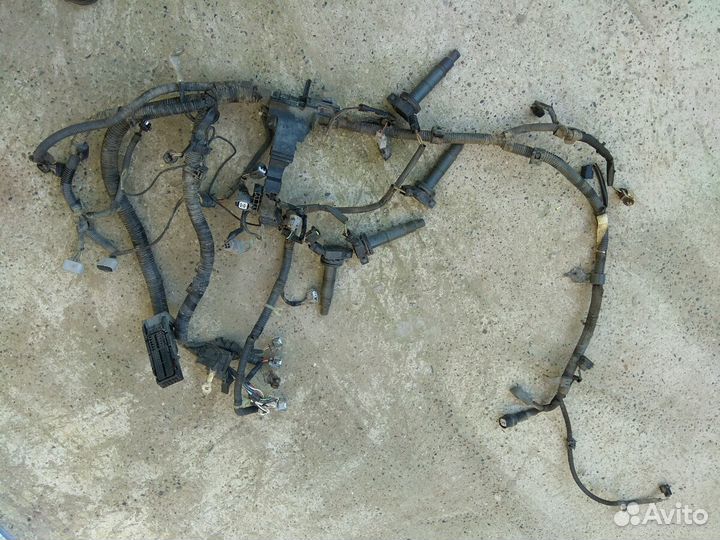 Проводка коса Тойота Камри 2azfe V40 8212133A80