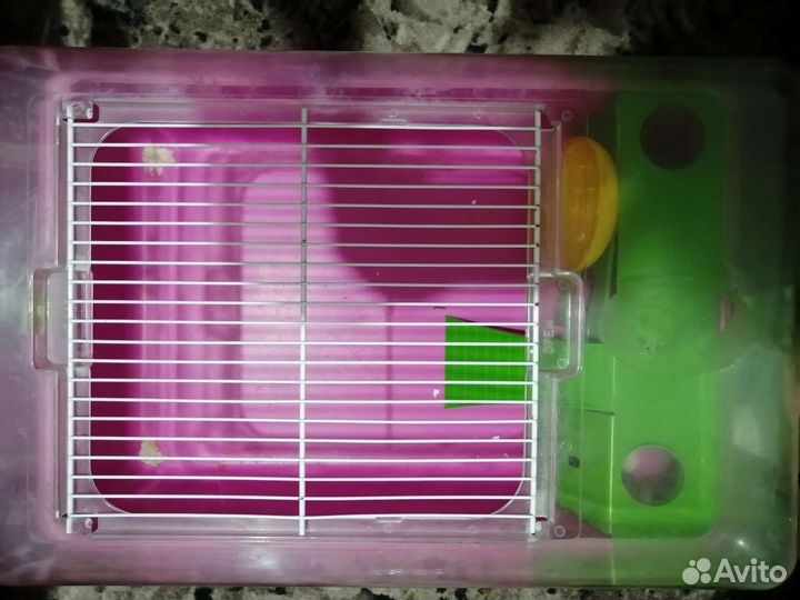 Клетка для грызунов очень большая