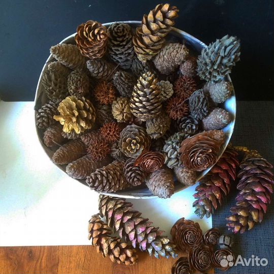 Два набора разных шишек