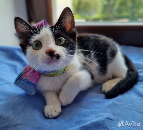 Малышка Джулия в добрые руки