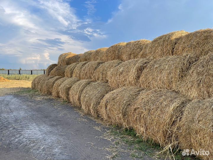 Сено в рулонах