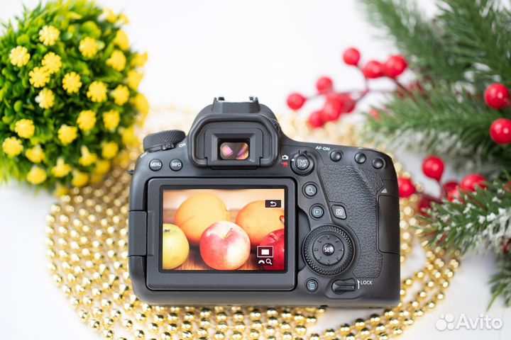 Canon EOS 6D mark ii body