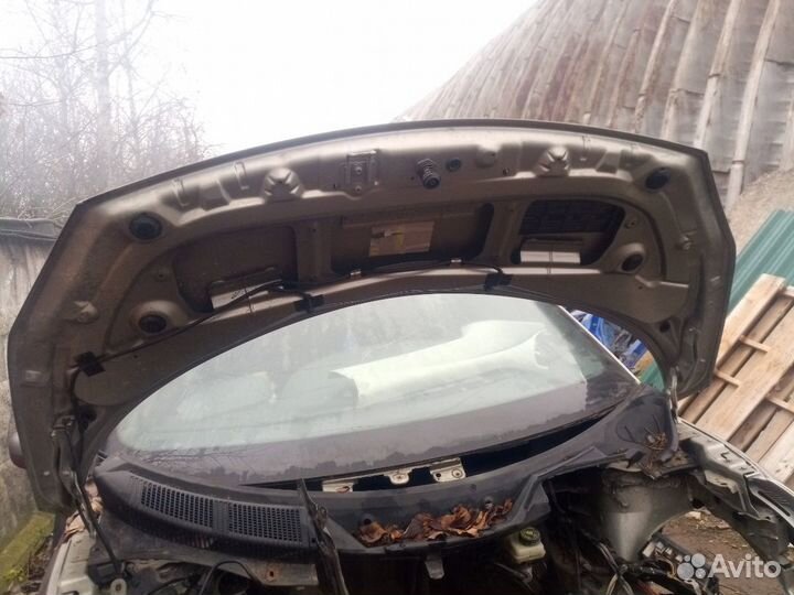 Капот Рено Сценик 2