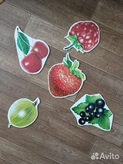 Пазлы для малышей maxi