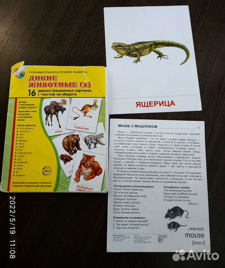 Развивающие карточки для детей