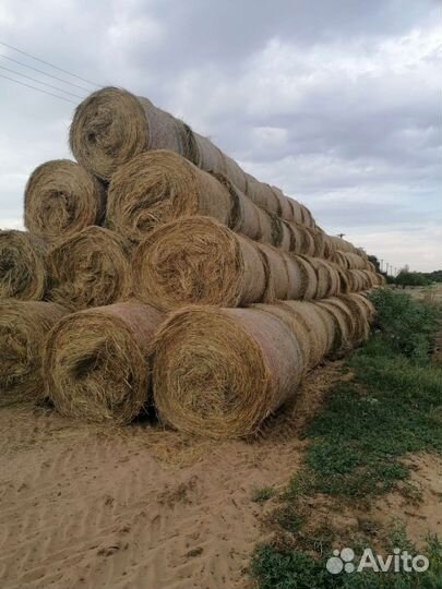 Продам сено в рулонах
