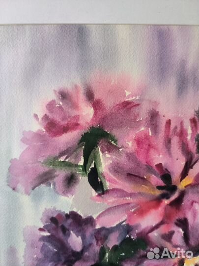 Картина пионы акварелью