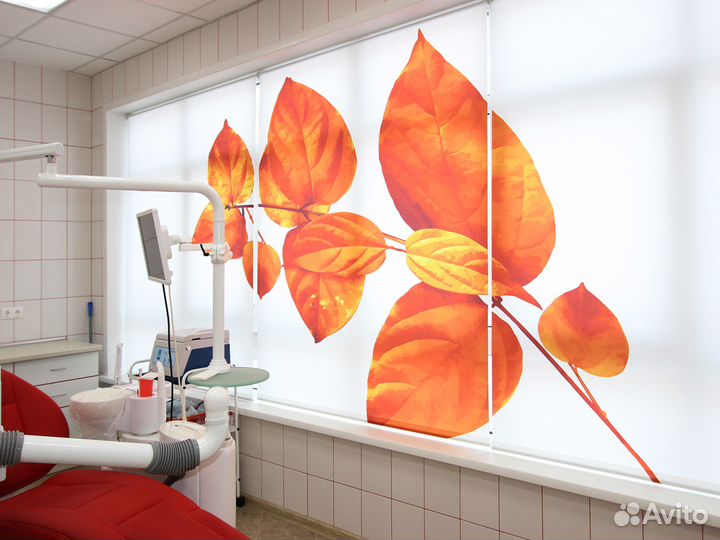 Жалюзи и Рулонные шторы Зебра Плиссе