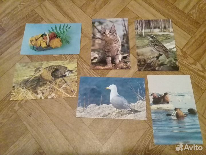 Открытки 78-89 гг