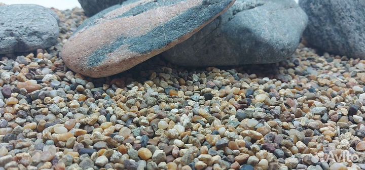 Грунт для аквариума много видов