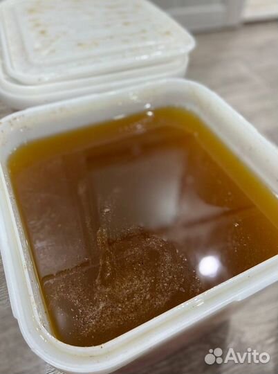 Мед Алтайское разнотравье оптом 2023