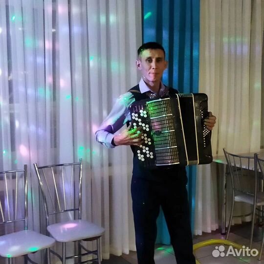 Ведущий тамада