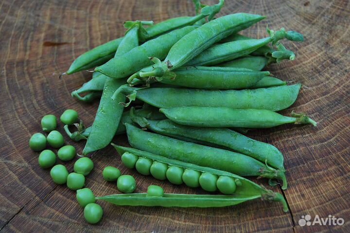 Семена гороха