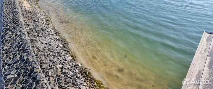 Хлорелла для чистки водоемов