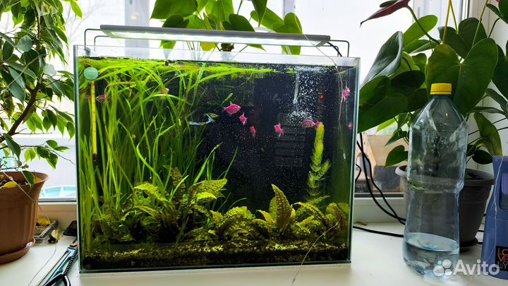 Аквариум с рыбками