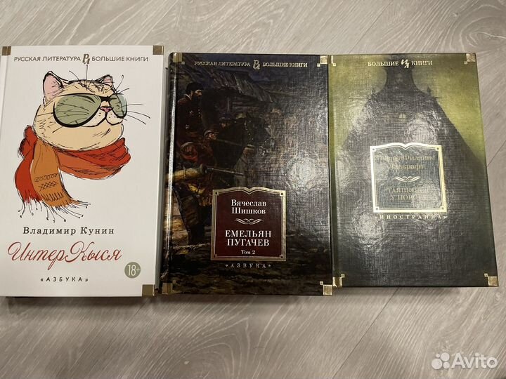 Русская литература / большие книги