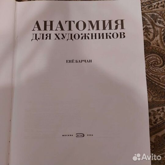 Анатомия для художников ене барчаи
