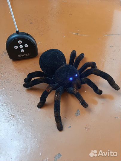 Тарантул на радиоуправлении