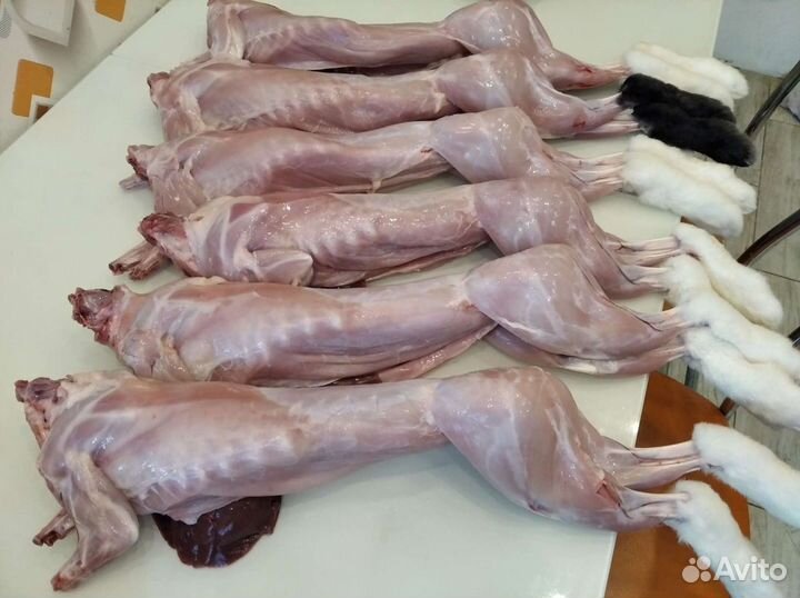 Мясо кролика