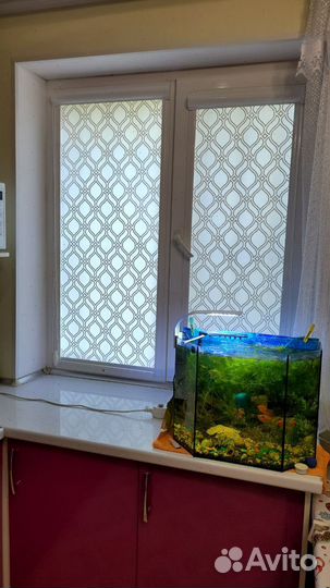 Рулонные шторы Блэкаут. Сделаем за 3-4 дня