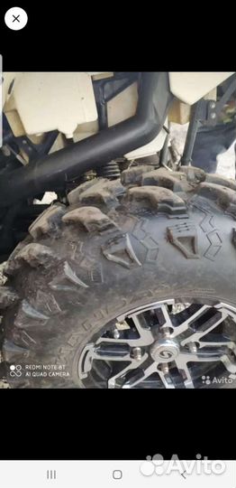 Стелс леопард