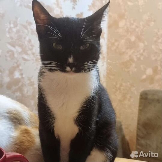 Забери меня домой