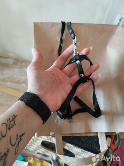 Шлейка для кошки