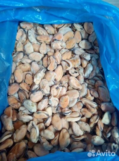 Мидии(мясо) Мидии в створках в/м