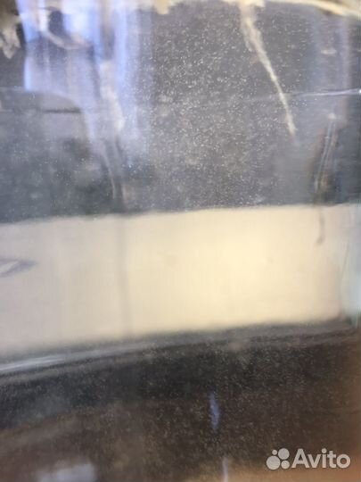 Аулофорус, Гриндальский червь, Инфузория, Нематода