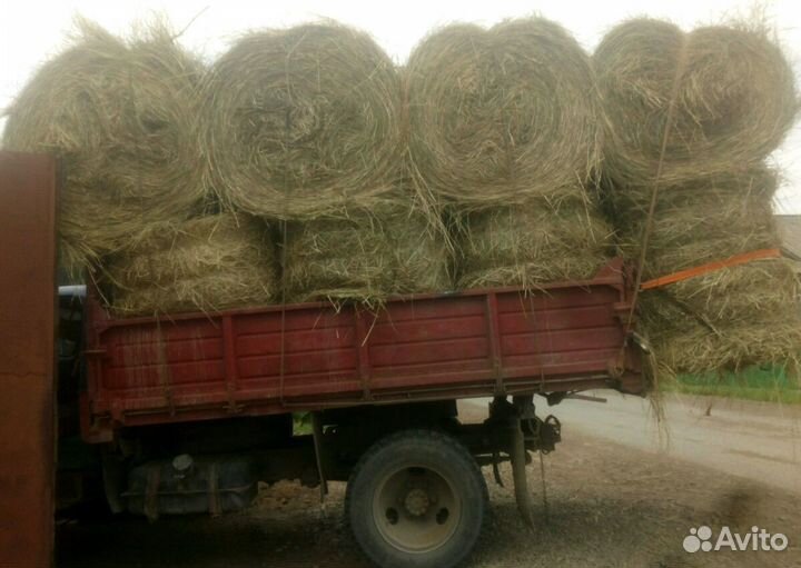 Сено свежее полевое