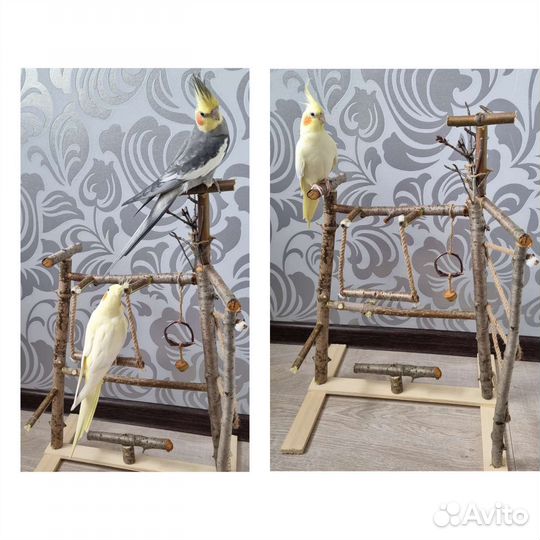 Стенд для попугаев и других птиц