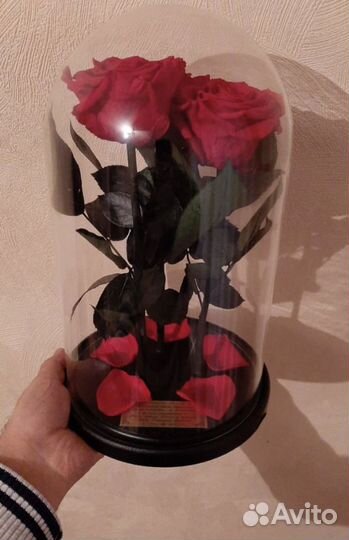 Роза в колбе