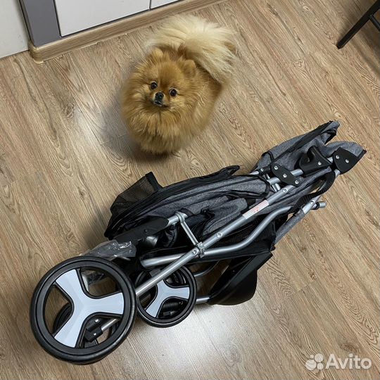 Коляска для собак, кошек