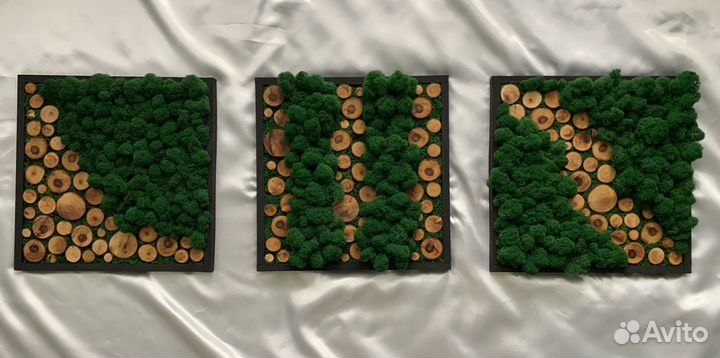 Картина, панно из мха и дерева