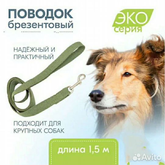 Ошейник, поводок для собак в подарок антистресс