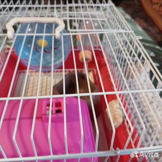 Клетка для грызунов