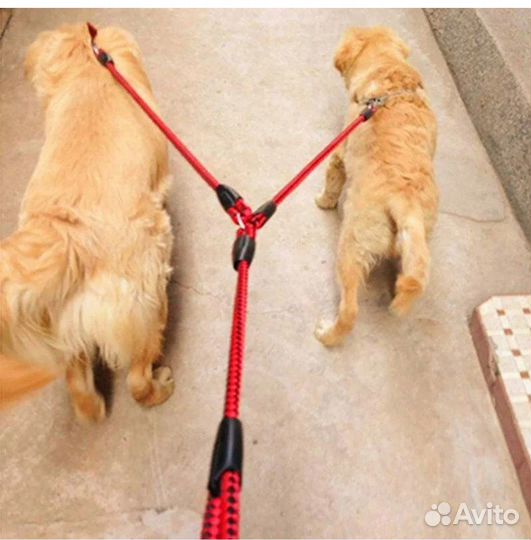 Поводок контроллер