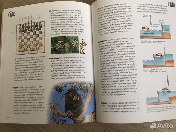 Энциклопедический словарь для детей