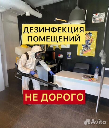 Уничтожение клопов дезинфекция